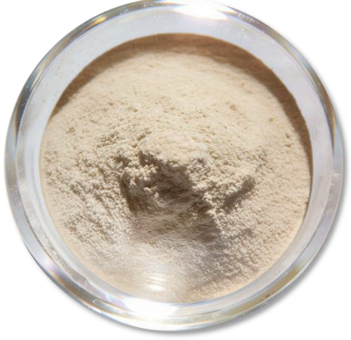 Snímek obrazovky 2026-03-09 105729